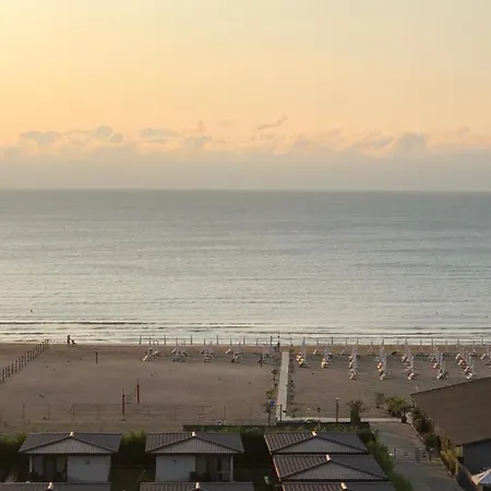Marina Surf *
