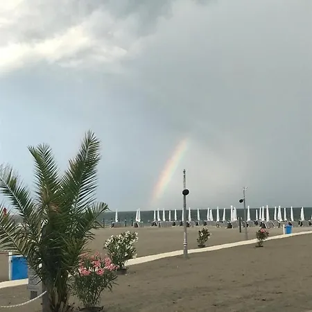 Marina Surf * Năvodari