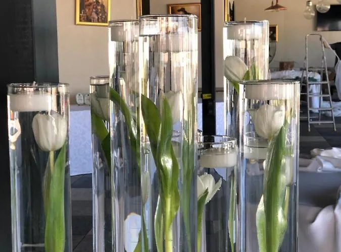 Θέρετρο Marina Surf *