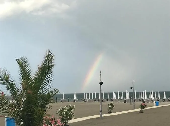 Marina Surf * Năvodari